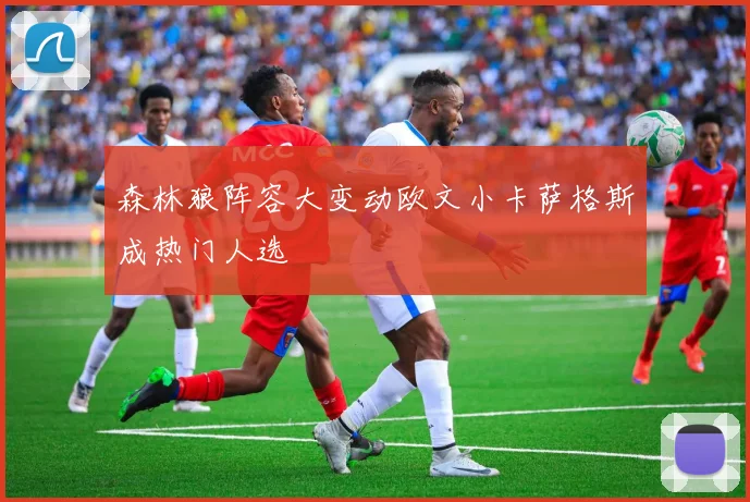 森林狼阵容大变动欧文小卡萨格斯成热门人选