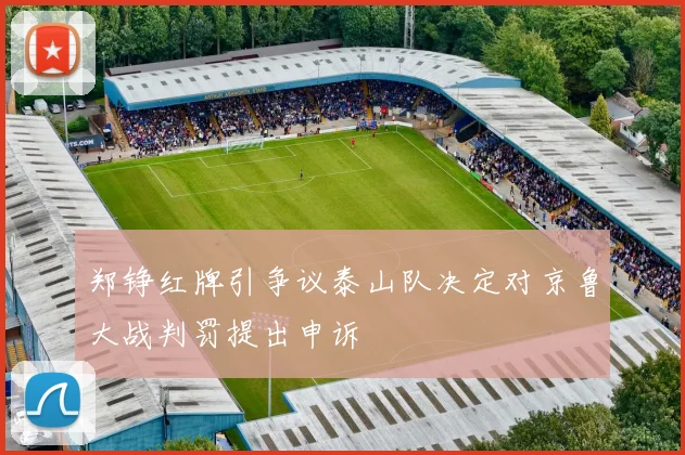 郑铮红牌引争议泰山队决定对京鲁大战判罚提出申诉